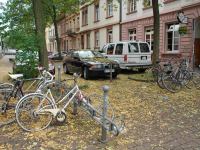 Leaves and bikes (Freiburg, Germany)