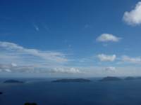 View of the chickens (Hen Island)