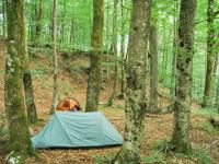 Camp near lake (Slovenia)