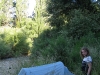295 (Cycle Touring Dec 2008)