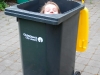 Wheelie Katie 1