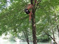 Monkeys in a tree (OO.cup, Slovenia)