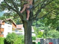 lads-in-tree-swiss-o-week-switzerland