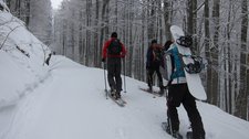 Ascending (Herzogenhorn skitour) resize