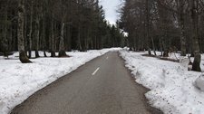 Riding in snow 2 (Vogesens, France) resize