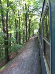 On the train in the forest 2 (Hungary)