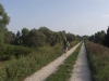 Cris running (Hungary)