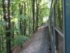 On the train in the forest 2 (Hungary)