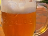 Pils (Plzen, Czech Republic)