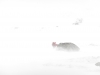 White out at the saddle (Stortinddalen, Norway)