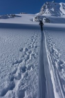 Heading up the track (Ski touring Jamtalhuette)