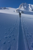 More crossing of the Jamtalferner (Ski touring Jamtalhuette)