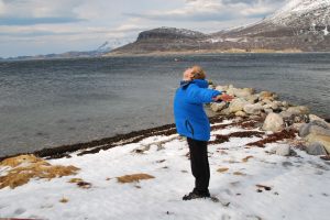 A Norwegian blue (Norway)