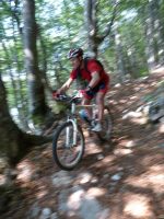 Chris descending through forest (Lago di Garda, Italy)