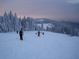 Heading down (Ski Touring, Schwarzwald, Germany)