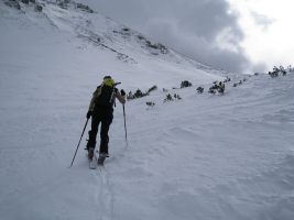 Heading upwards (Skitouring, Austria)