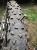 Nail disaster (Black Forest, Freiburg, Germany)