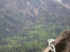 Anchor chain (Oetz, Austria)