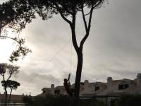 Mike hanging from a tree (Portugal ARWC 2009)