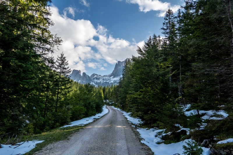 Gravel road (Autumn adventures Dachstein Sept 2024)