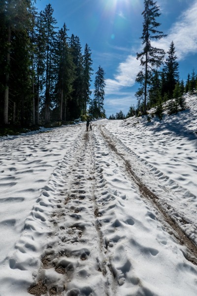 Pushing through snow (Autumn adventures Dachstein Sept 2024)