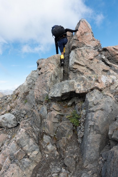 Last section to Avalanche Peak (Avalanche Crow Tramp April 2021)