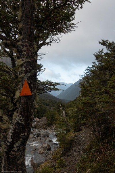 Walking out (Avalanche Crow Tramp April 2021)