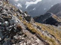 Small path (Avalanche Crow Tramp April 2021)