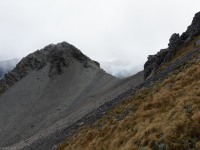 View to ridge (Avalanche Crow Tramp April 2021)