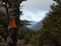 Walking out (Avalanche Crow Tramp April 2021)