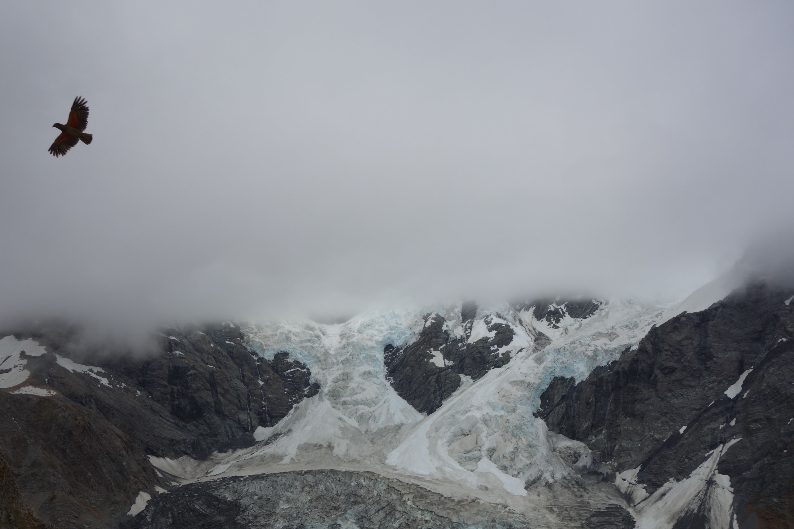 Kea and Caroline Glacier (Ball Pass Dec 2013)
