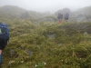 Misty mist (Ball Pass Dec 2013)