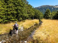 Crossing a small stream (Bikepacking Poulter Jan 2024)