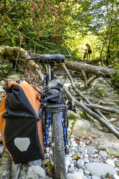Bikes lifted over windfall tree (Biking Bregenzer Ach August 2023)