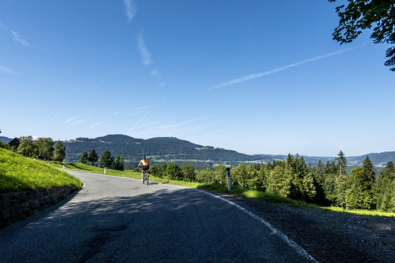 Cycling back to Lindau on small roads (Biking Bregenzer Ach August 2023)