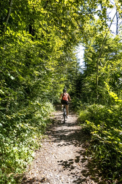 Fun day ride to the Bregenzer Ach valley (Biking Bregenzer Ach August 2023)