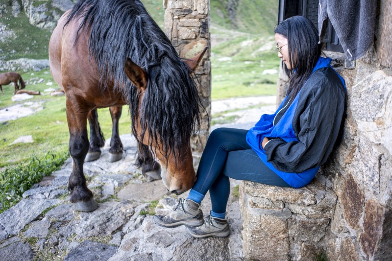Tame horses with Mei and her dog friend (Cabana Sorda June 2025)