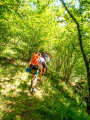 Bush bashing (Canyoning Italy 2019)