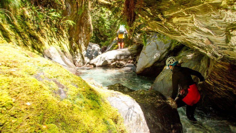 Walking down river (Canyoning Robinson Creek, Adventures with Craichel Jan 2022)