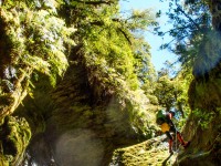 Craig abseiling (Canyoning Robinson Creek, Adventures with Craichel Jan 2022)