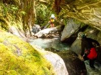 Walking down river (Canyoning Robinson Creek, Adventures with Craichel Jan 2022)