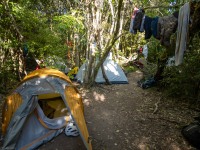Our camp (Climbing Kawakawa Bay Jan 2022)