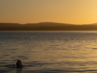 Rachel goes swimming (Climbing Kawakawa Bay Jan 2022)