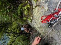 Rachel on second (Climbing Kawakawa Bay Jan 2022)