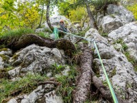 Ari belaying from the top of the first pitch (Plombergstein Sept 2025)
