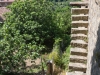 Dangerous stairway to heaven (Corsica)