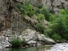 Image 1245 (D147, Asco, Haute-Corse, Corsica)
