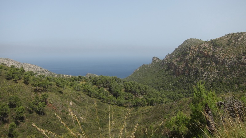 View (Mallorca)