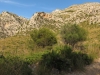 Hills (Mallorca)