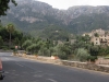 Leo looking (Mallorca)
